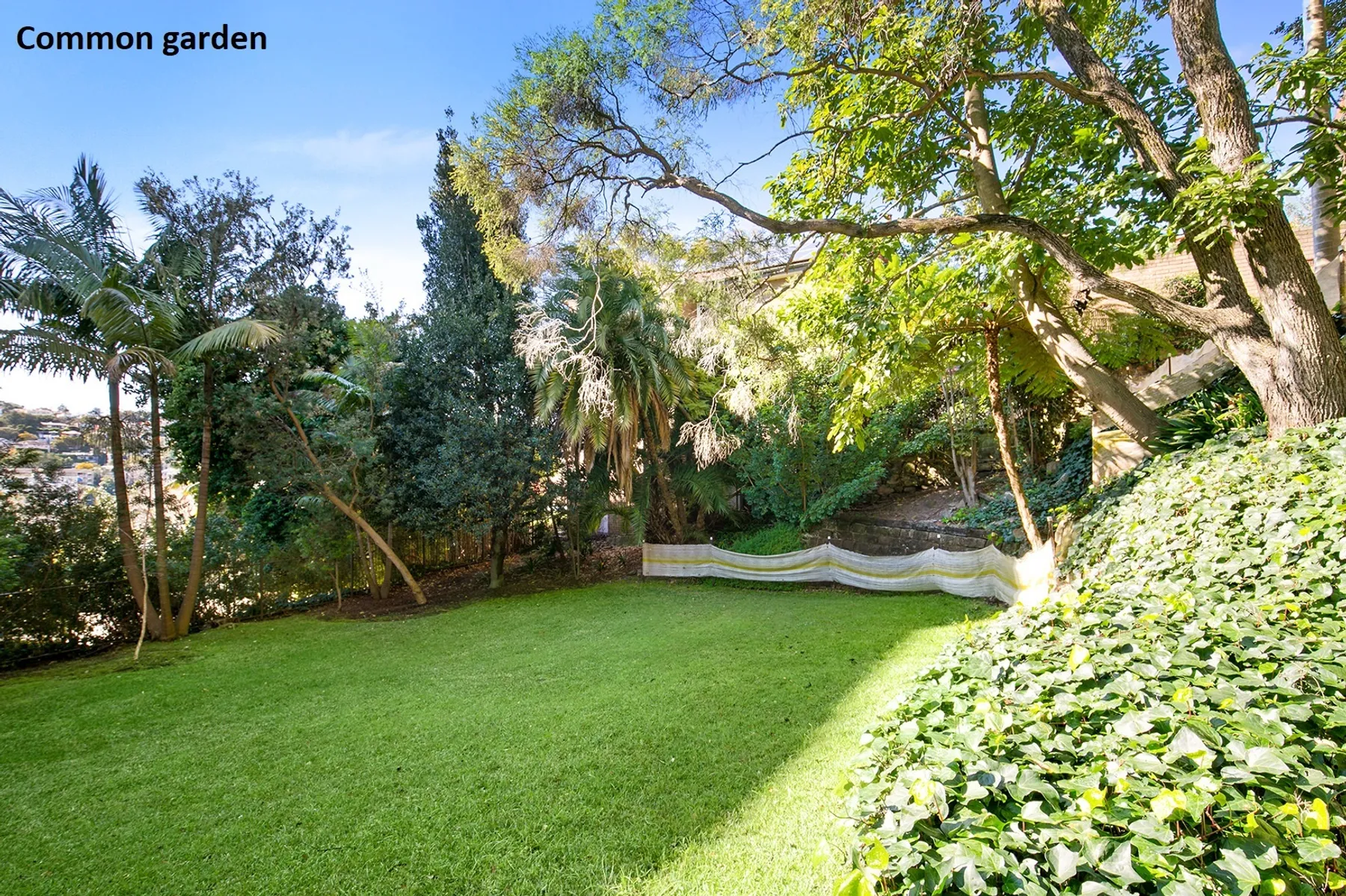 17/351 Edgecliff Road, Edgecliff