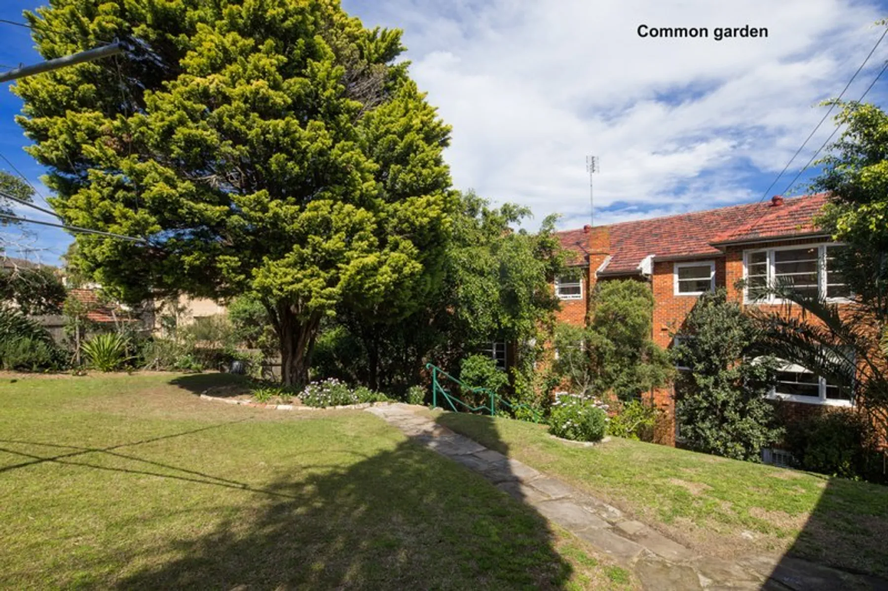 7/102 Alison Road, Randwick, Randwick - Thumbnail 4
