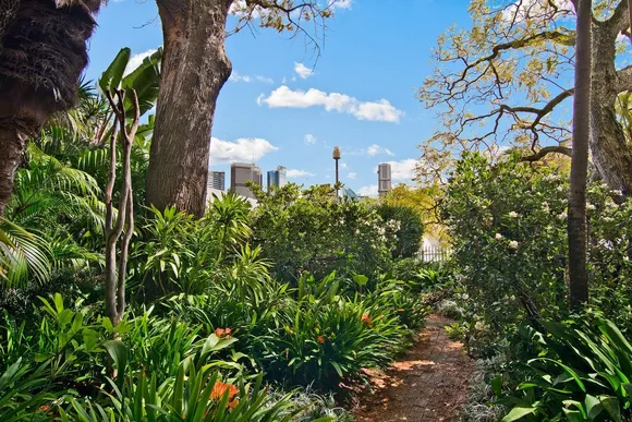 3/1 Thomson Street, Darlinghurst