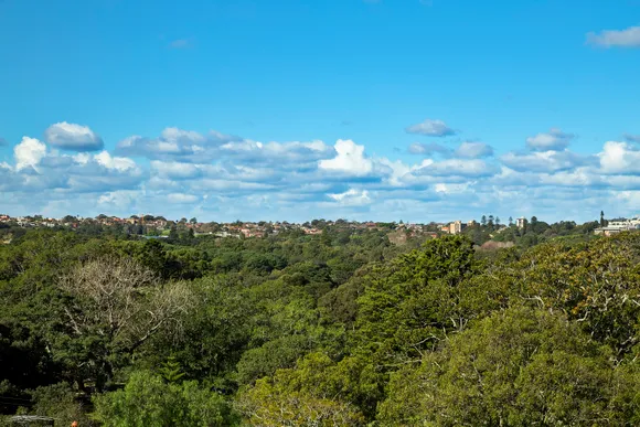 6D/105 Cook Road, Centennial Park